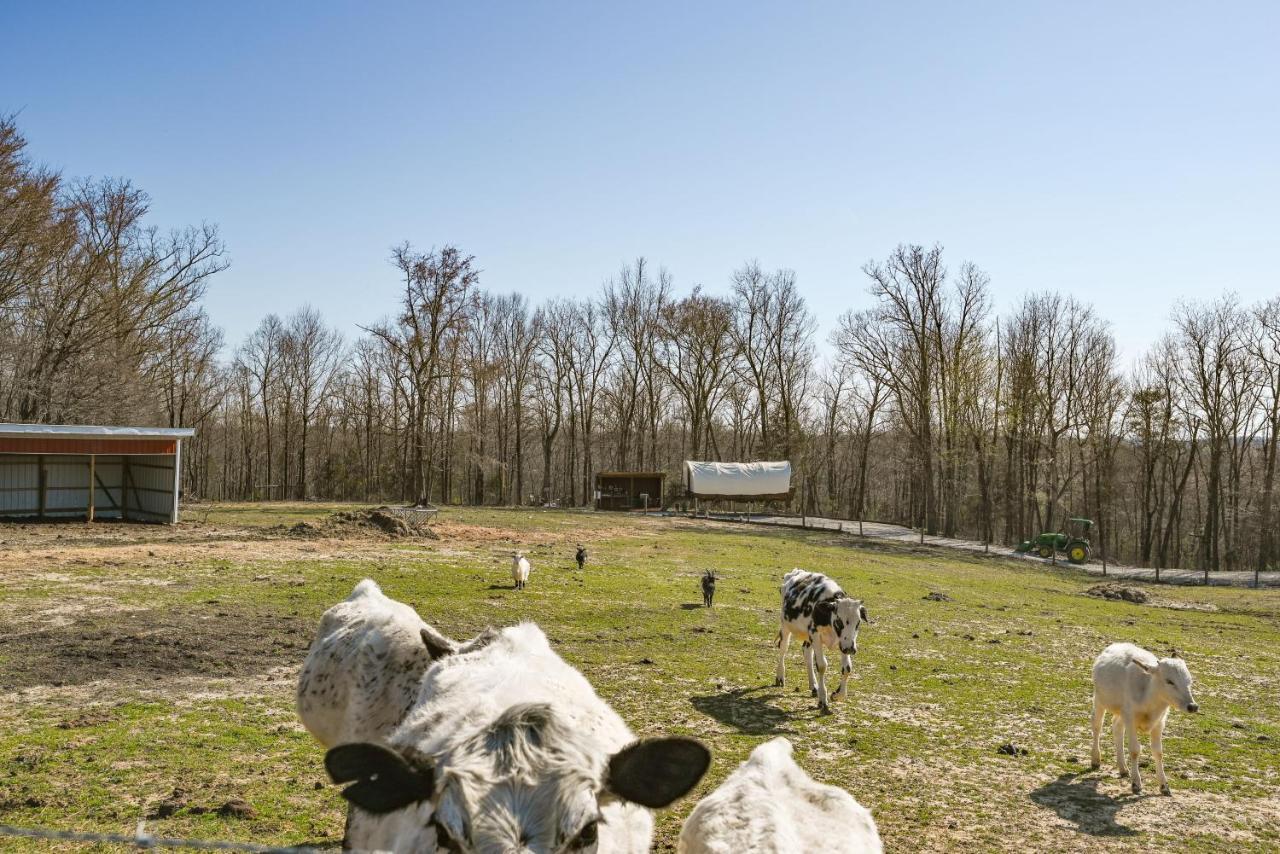 Ultimate Covered Wagon Pioneers Paradise Brownsville Dış mekan fotoğraf